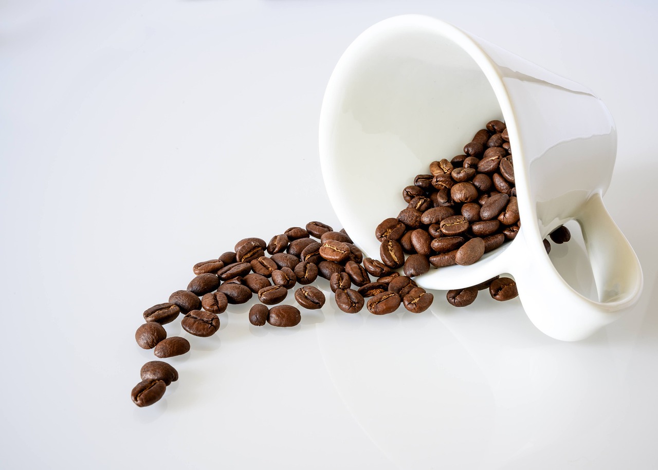 Coffee Arabica